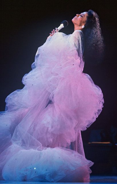 Style File︰Diana Ross
