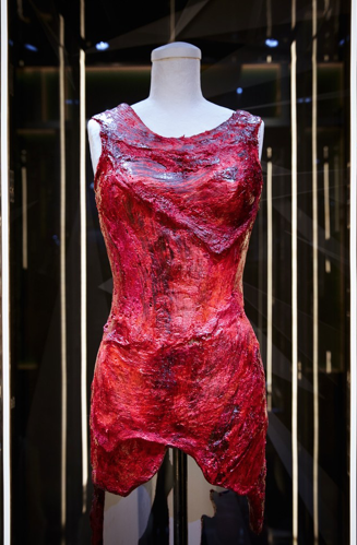 Lady Gaga的私人時裝珍藏首度展出，你也可以近看她那牛肉連衣裙