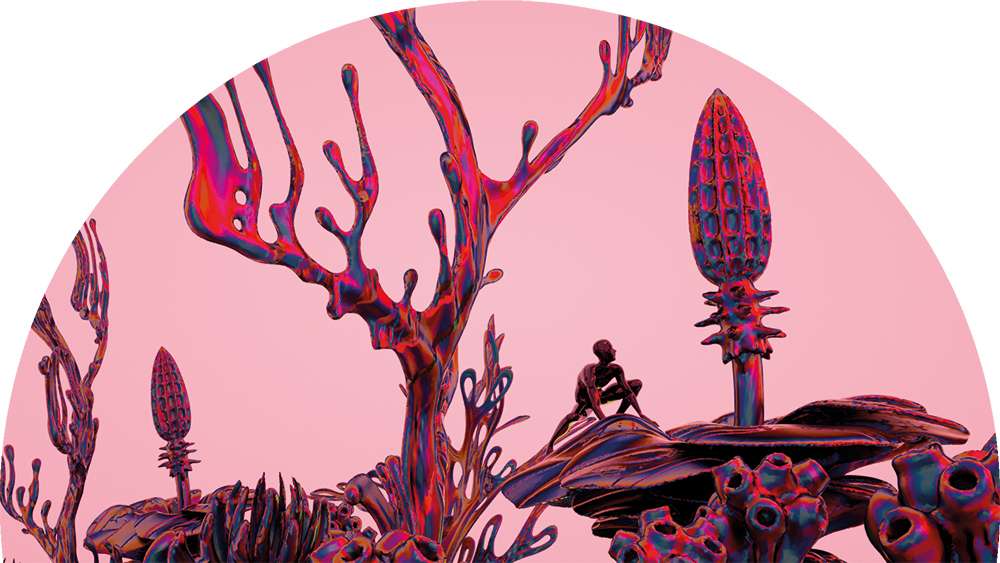 《見木亦見林》探索香港與自然的關係