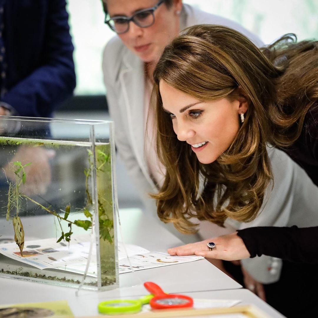 染啡髮要學「皇室KOL」Kate Middleton！啡金highlight新髮成為焦點