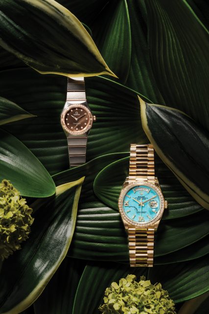 氣質名錶之選:大自然和諧感如何啟發鐘錶設計?