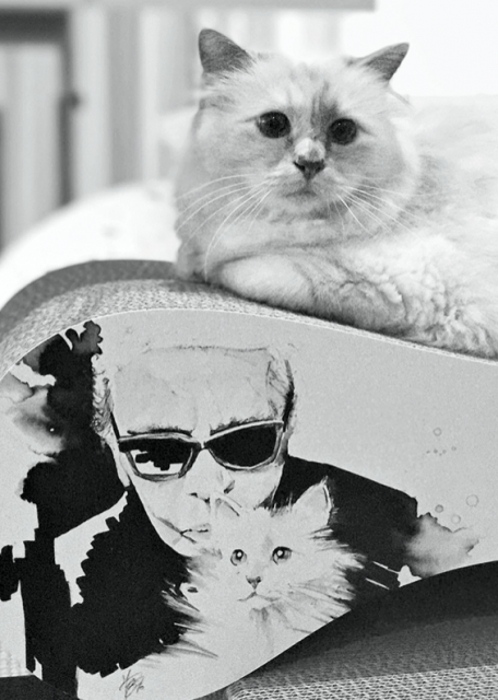 Karl Lagerfeld 最新攝影書即將開售:由其愛貓 Choupette 成為主角