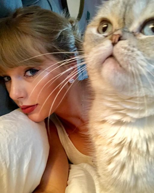 Taylor Swift以愛貓宣揚抗疫訊息:呼籲大家留在家中隔離