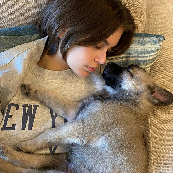 Kaia Gerber and Miley Cyrus Foster (Very Cute) Dogs While In Isolation