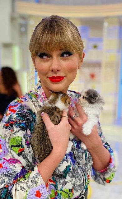 Taylor Swift 分享愛貓照片,幽默反映大家社交隔離狀態