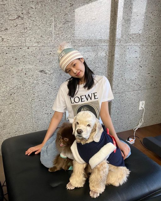 寵物也要好好護理保養!原來這些美容品牌亦有推出寵物用品