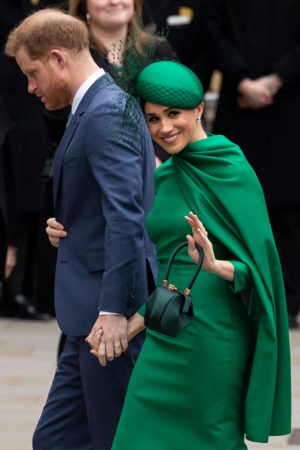 《The Real World Of Harry And Meghan》:哈里、梅根8月推出新書為自己發聲平反