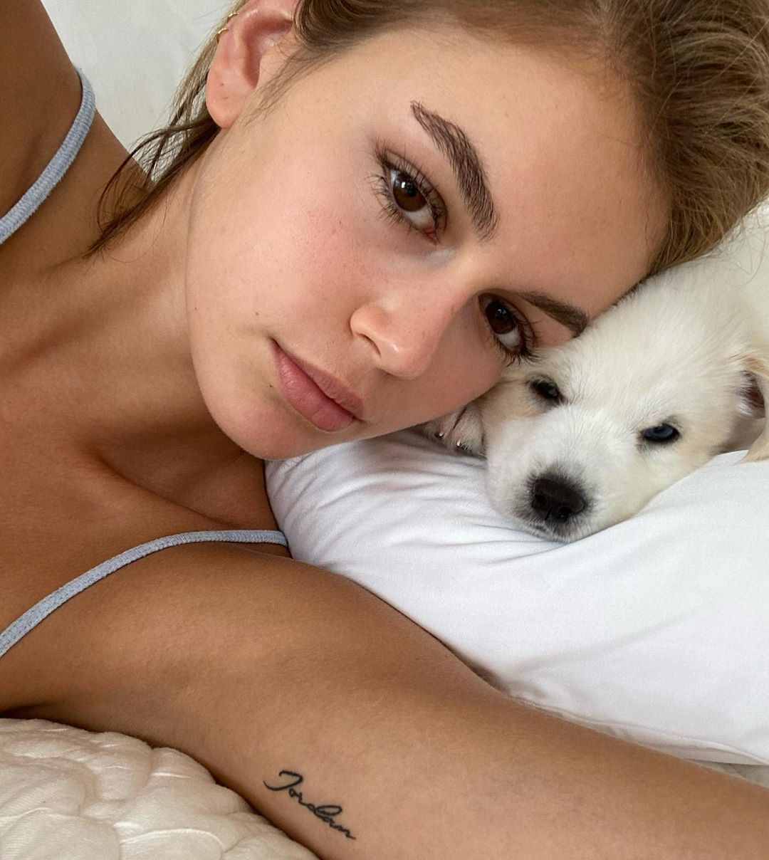 Cara Delevingne、Kaia Gerber、 Billie Eilish等，哪些明星寵物值得留意？