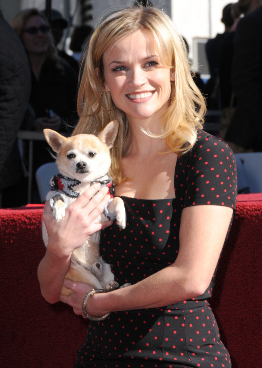 Reese Witherspoon Will Star In A Third ‘Legally Blonde’ Film Written By Mindy Kaling