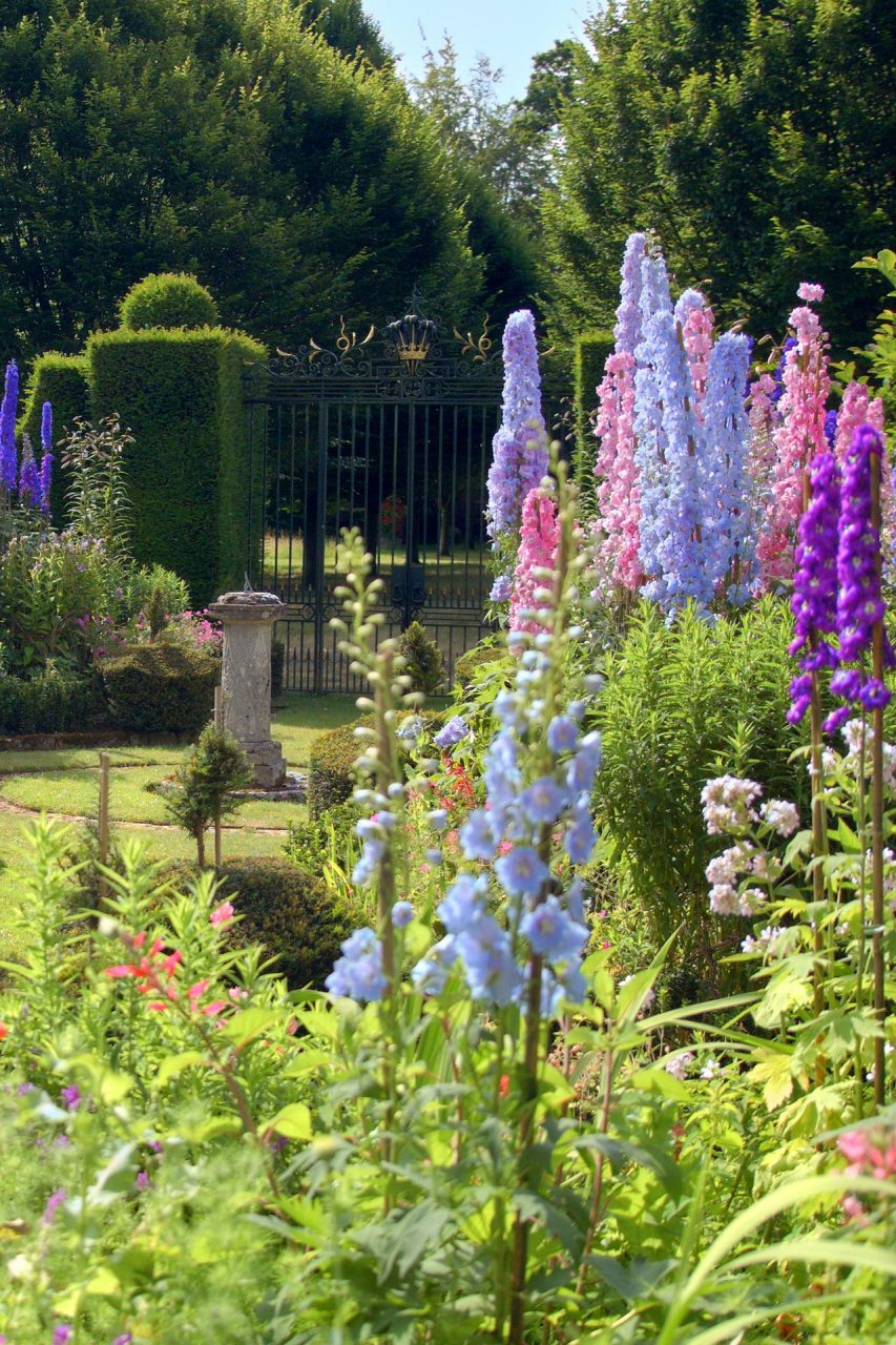 英國皇室成員分享私人花園的照片，以另類方式慶祝今屆Chelsea Flower Show