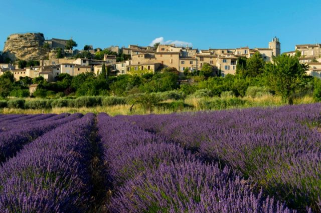 眼睛想旅行：浪漫之地——法國普羅旺斯薰衣草博物館