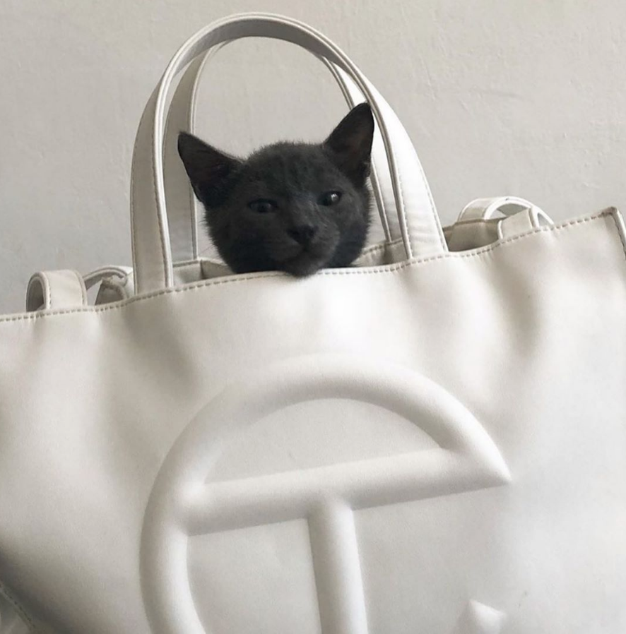 當手袋成為炒賣對象，Telfar火速關掉網店：「我的設計不是給Bots或給人炒賣！」