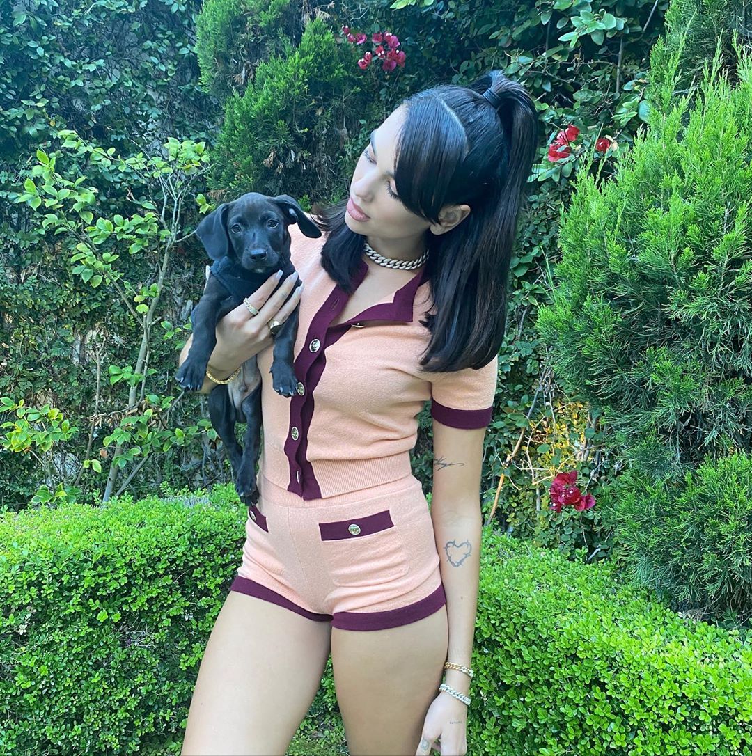 以髮色做出主人、寵物「親子裝」？Dua Lipa的新髮色跟狗狗一樣！