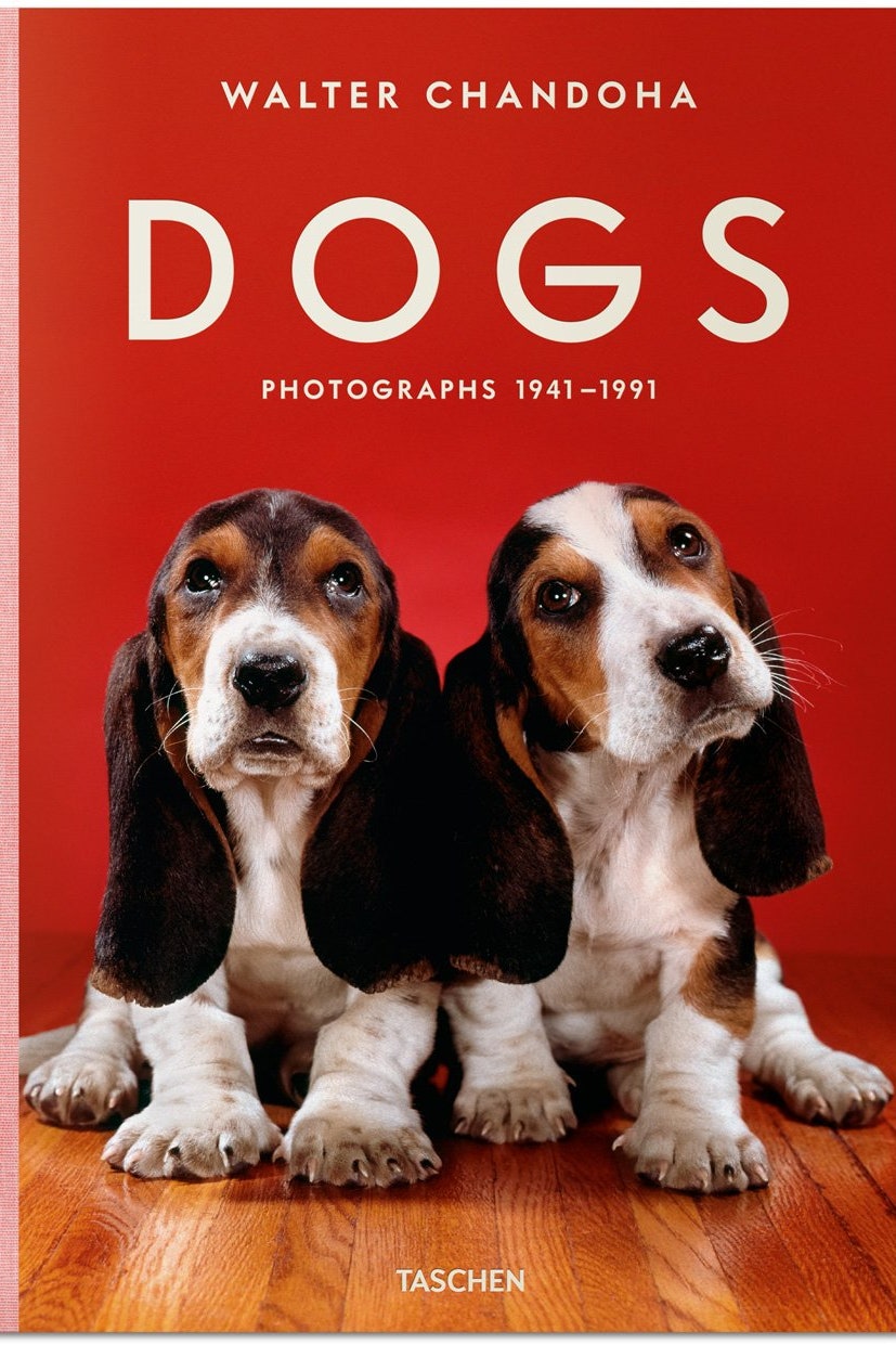 融化你的心！愛狗人士必看傳奇攝影師Walter Chandoha狗狗攝影集