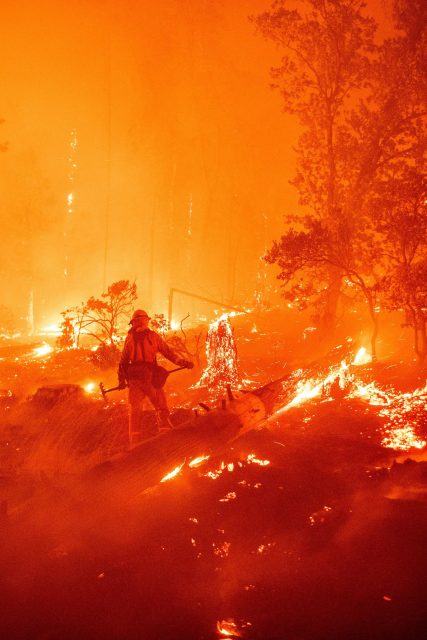 愛地球／你有「氣候悲痛」嗎？是一種「深刻意識到失去的不會再回來」的絕望感！