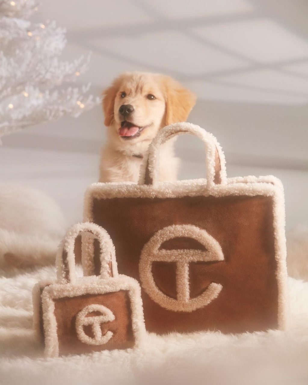 調定鬧鐘搶手袋！長期售罄的火熱 Telfar 手袋聯手 UGG 推出限量限時剪羊毛手袋