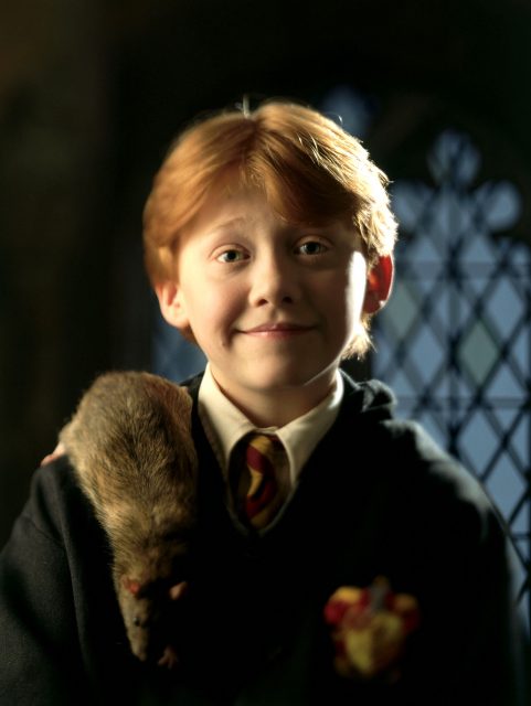 遲了10年榮恩 Rupert Grint 終於開通 Instagram 帳號！分享溫馨父女照吸引過萬追蹤數目
