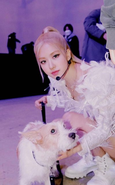 Blackpink 愛寵大盤點|從 Lisa「L家族」狗狗 Love 到擁有200萬粉絲的 Rosé 愛犬 Hank