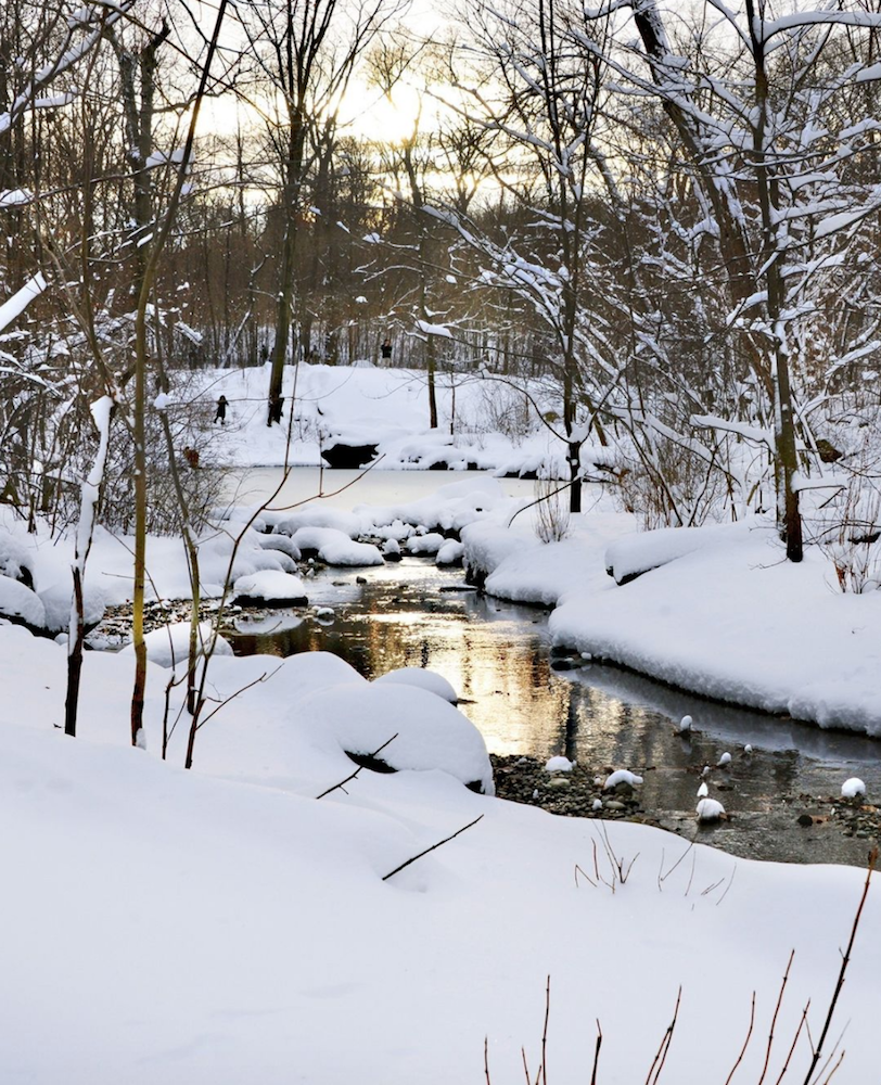 眼睛想旅行：透過照片走進化身冬季仙境的紐約中央公園 Central Park
