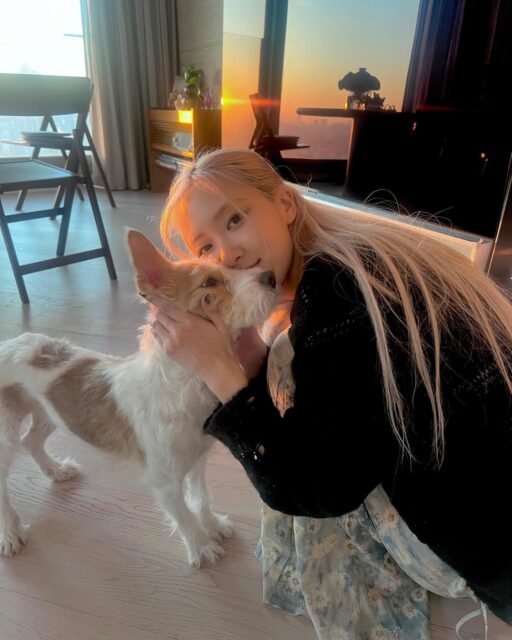 盤點明星們的愛犬:BLACKPINK Rosé、Jennie、Tom Holland、Zendaya、Jacob Elordi、aespa Giselle、CORTIS Keonho 與愛犬大集合!
