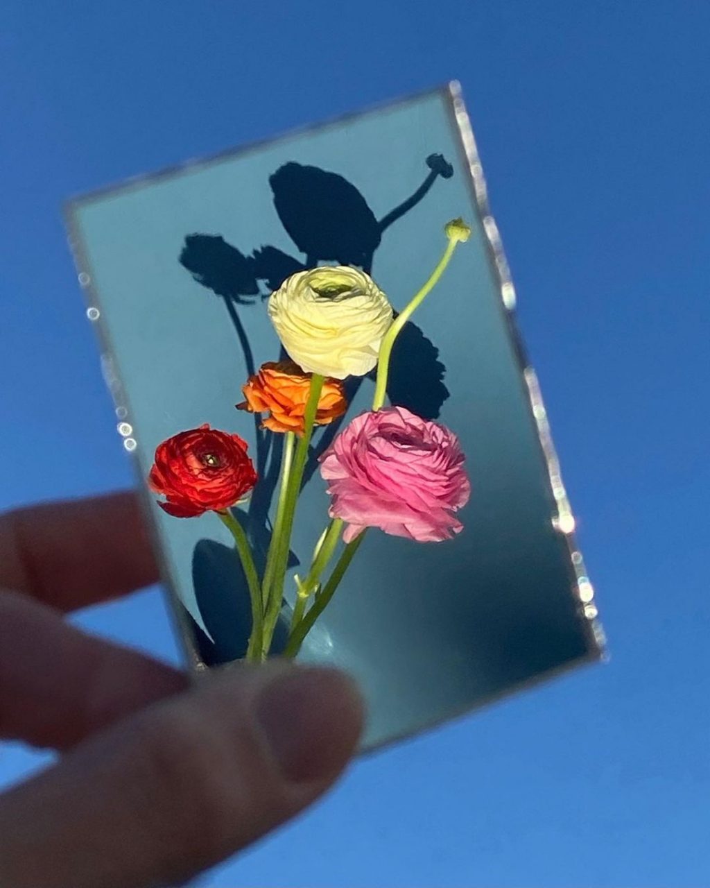 又來到春日花香的季節！ Jacquemus 於巴黎推出限定花店