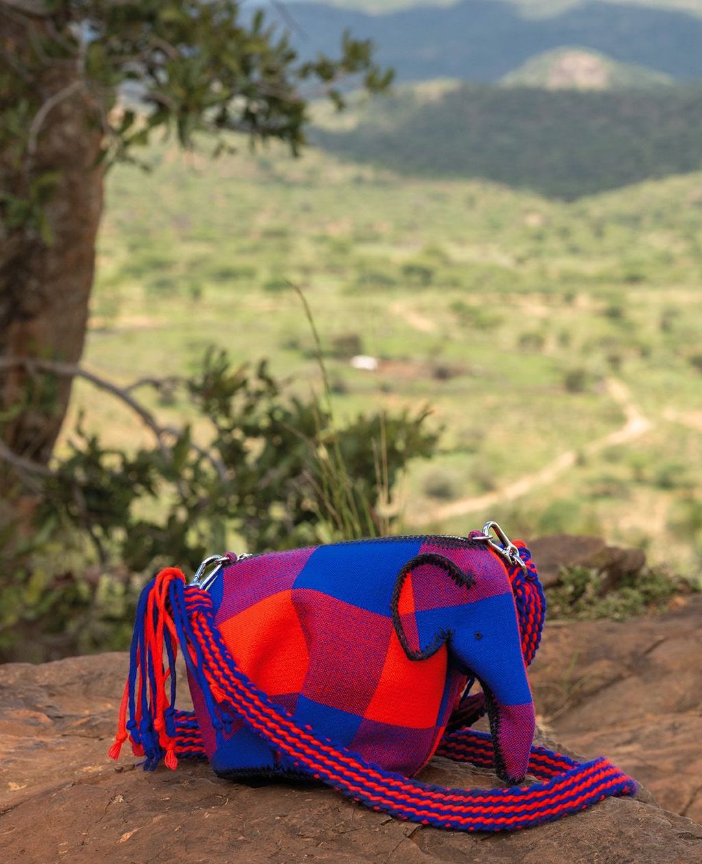 Loewe 經典設計 Elephant Bag 再有全新版本，而且100%支持保育非洲野生大象？