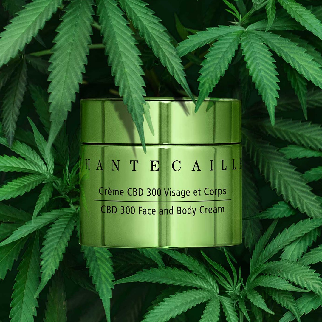 最Chill的大熱護膚成分大麻二酚  Chantecaille首推CBD 300面部及身體乳霜