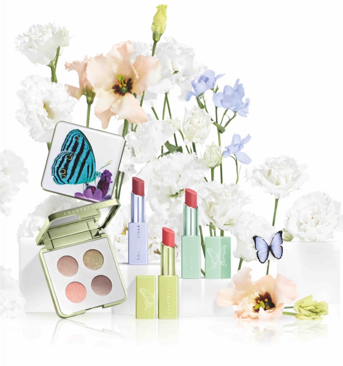 蝴蝶成為第31個保育系列主角 Chantecaille SS21春日彩妝系列