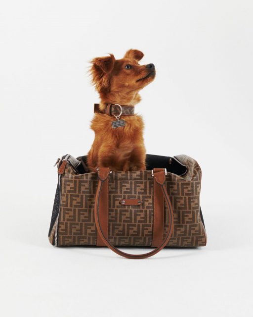 寵物市場在新常態下需求急升? Fendi 推出全新狗狗monogram系列
