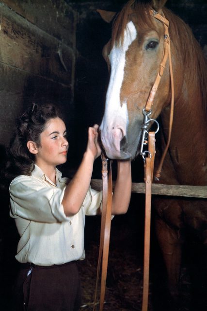 令Elizabeth Taylor一炮而紅的經典電影《National Velvet》,8個令你大開眼界的內幕故事