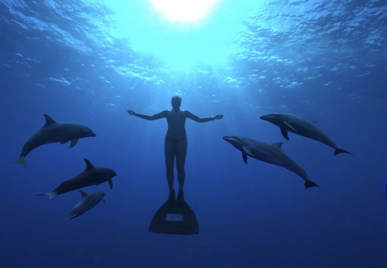 Seaspiracy To My Octopus Teacher — These Are The Documentaries To Watch On World Oceans Day