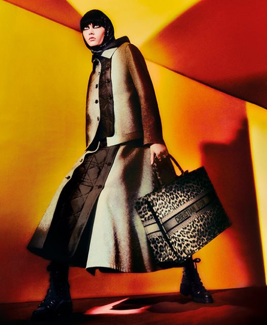 Dior AW21廣告釋出,一看全新 IT Bag 設計款式:豹紋、經典藤格紋圖案全是亮點?