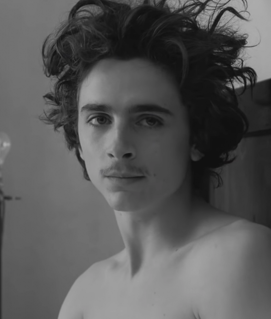 Timothée Chalamet 由純情走向叛逆?《The French Dispatch》一定要知道有關他演出的5件事!