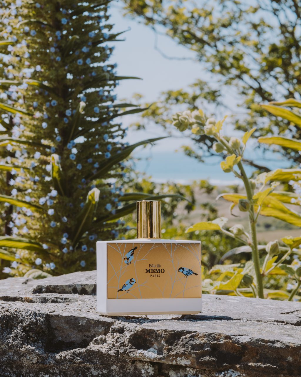 8月美容新品速報：Dior秋冬羽毛眼影、Jo Malone London番茄田園蠟燭