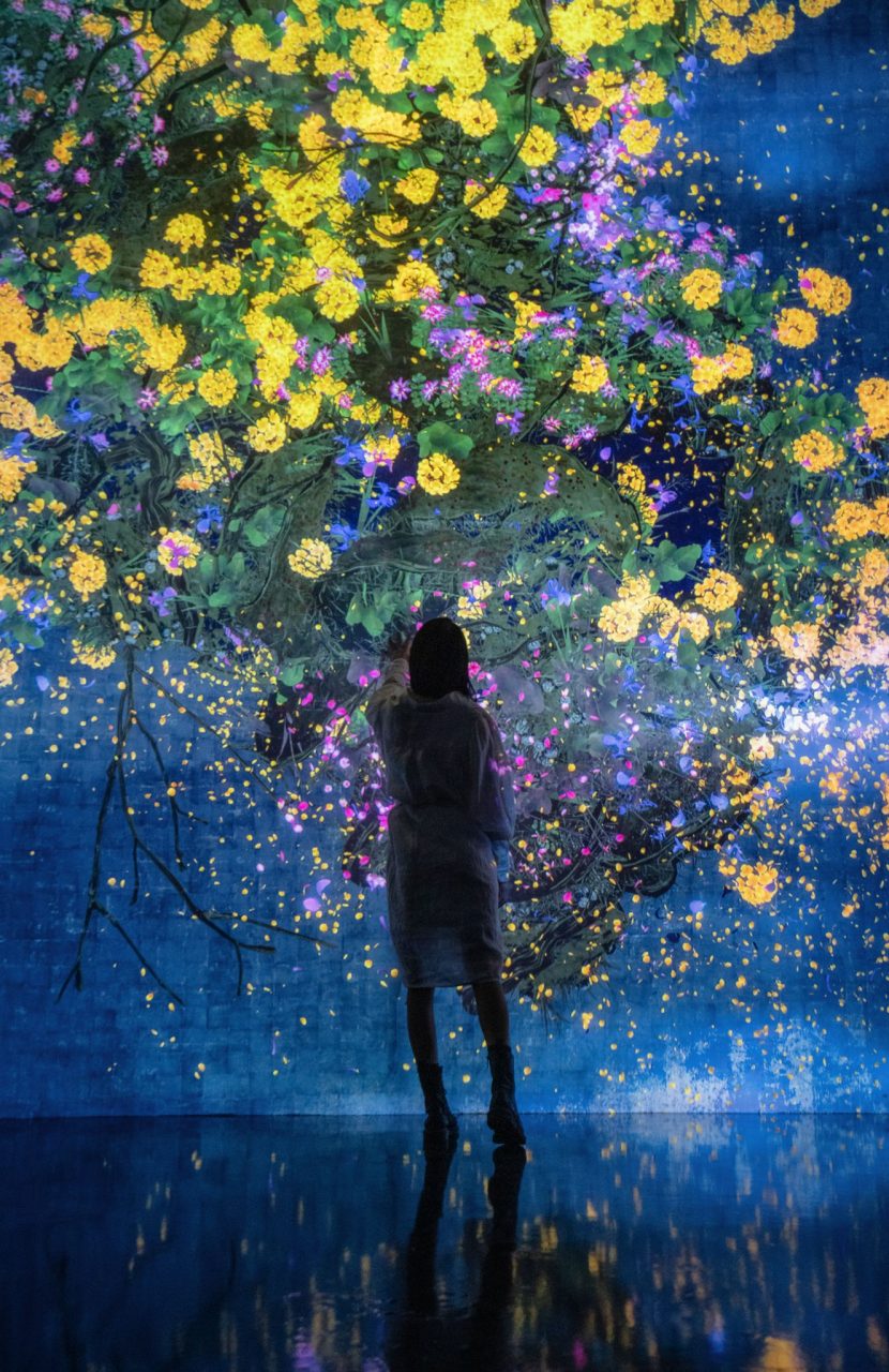 teamLab