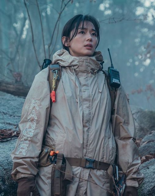 韓流公認的凍齡女神!精選全智賢的11部最佳影視作品