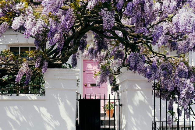 眼睛想旅行：在世界各地尋找 Pantone 的 2022 年度代表色「長春花藍 Very Peri 」