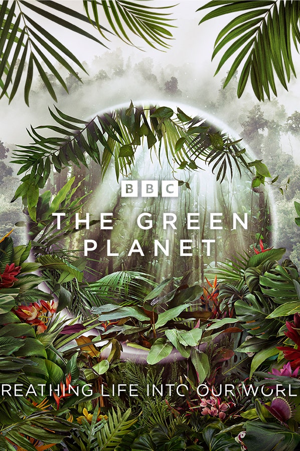 #SustainabilityInVogue BBC重磅鉅作《綠色星球》揭露植物的愛恨情仇，微觀視角發掘植物世界不可思議的美！