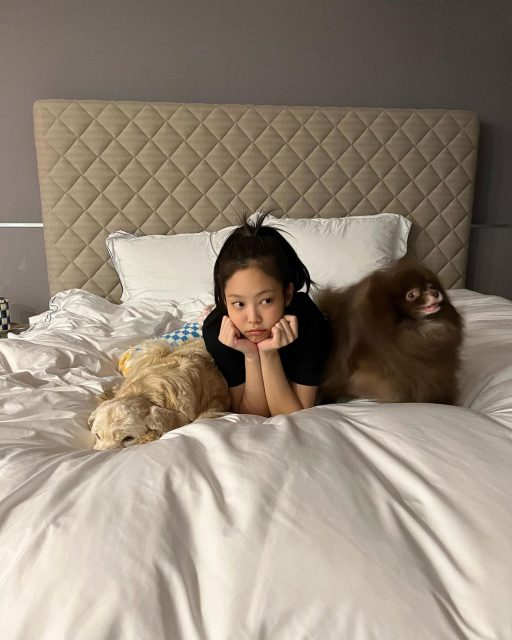 世界睡眠⽇:聰明運用 5 大 iPhone 功能 助你舒心入眠