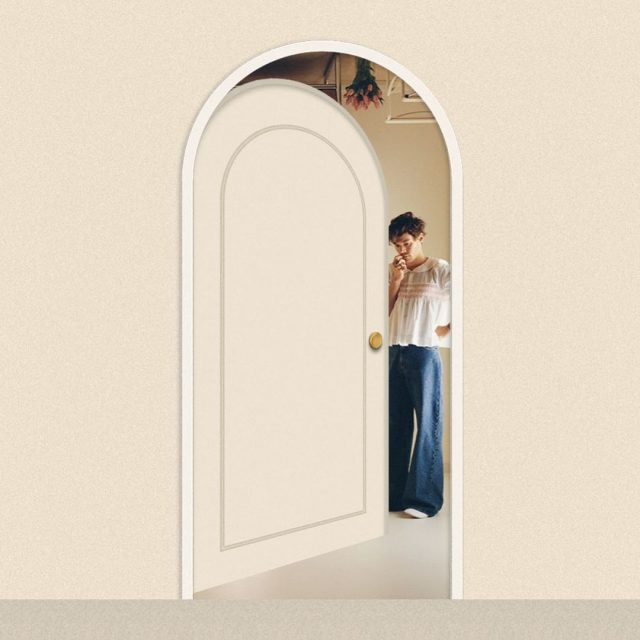 Harry Styles 穿上 Molly Goddard 闊身牛仔褲拍攝新專輯《Harry’s House》封面,精選 8 條同類型時尚單品