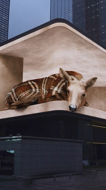 從Burberry、Bottega Veneta 到 Balenciaga,「裸眼3D」效果數碼廣告牌成為品牌們最愛的宣傳方式?