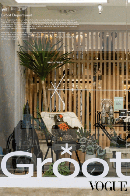 CULT SHOP | 灣仔 Groot Dept. 以塊根植物為賣點,融入藝術打造多元文化空間