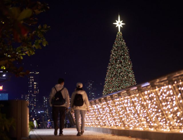 The Best Christmas Trees And Festive Displays In Hong Kong