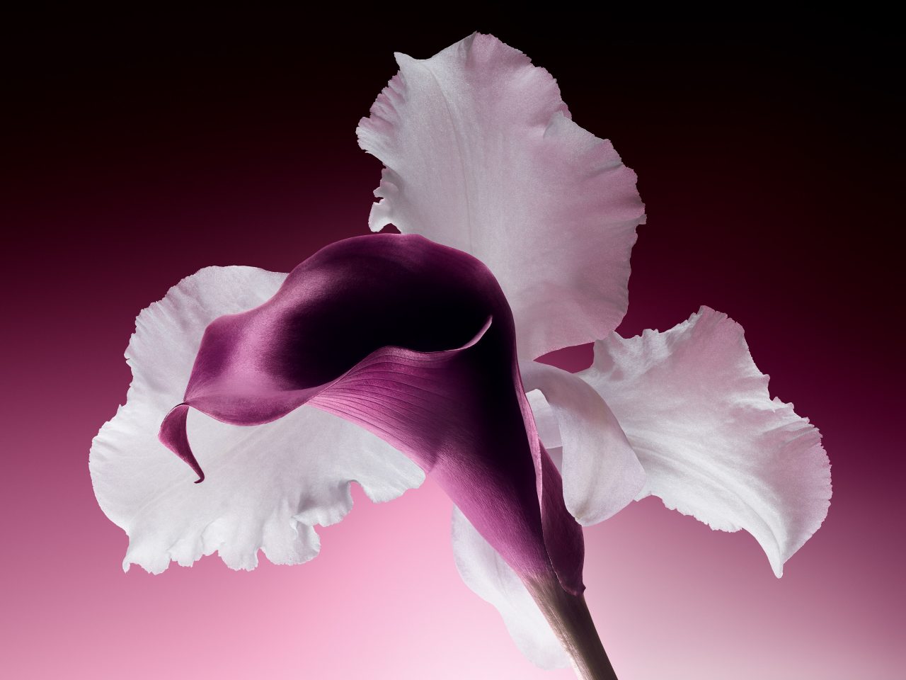 Dior 推出全新「完美活能超效精華」升級版！專訪品牌科研代表，一同深入認識這個革命性的美容概念