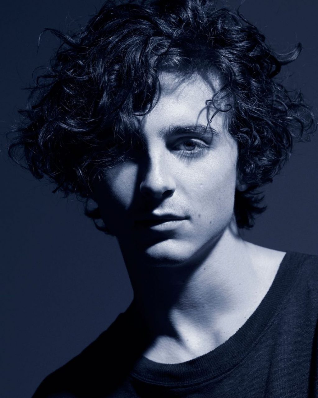 Timothée Chalamet Is The New Face Of Bleu De Chanel