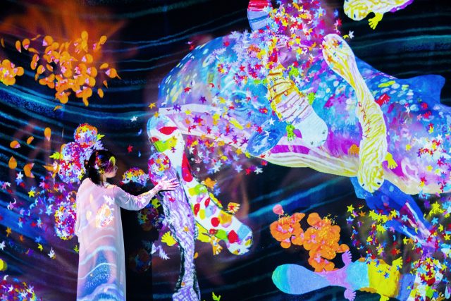 teamLab 登陸香港!沉浸式藝術空間、六大不能錯過的打卡位