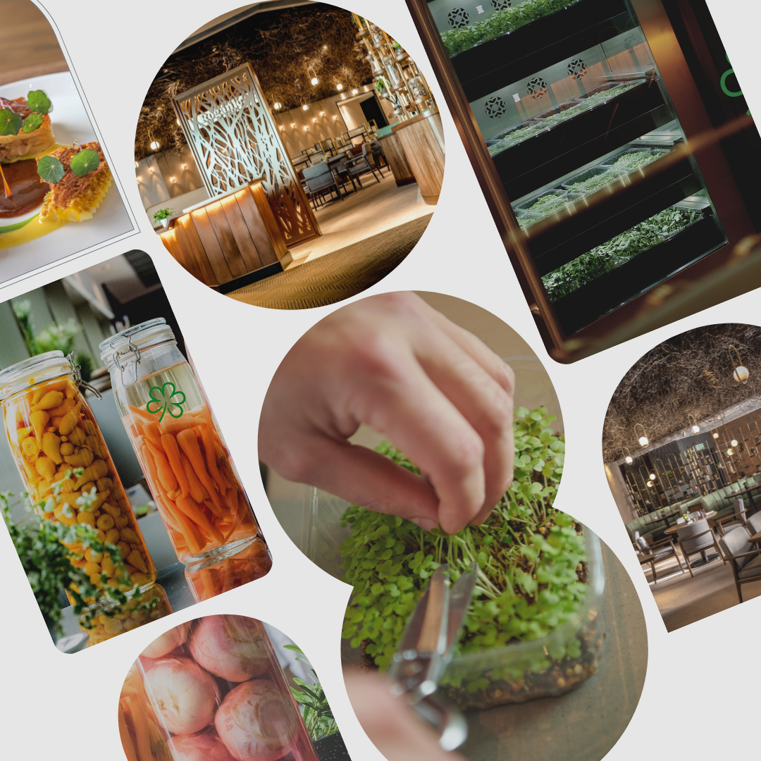 飲食也要談Sustainability｜學Amber、Roganic的持續發展思維模式