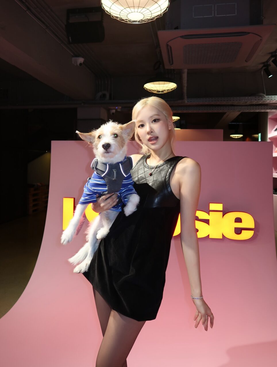 Blackpink 愛寵大盤點｜從 Lisa「L家族」狗狗 Love 到擁有440萬粉絲的 Rosé 愛犬 Hank