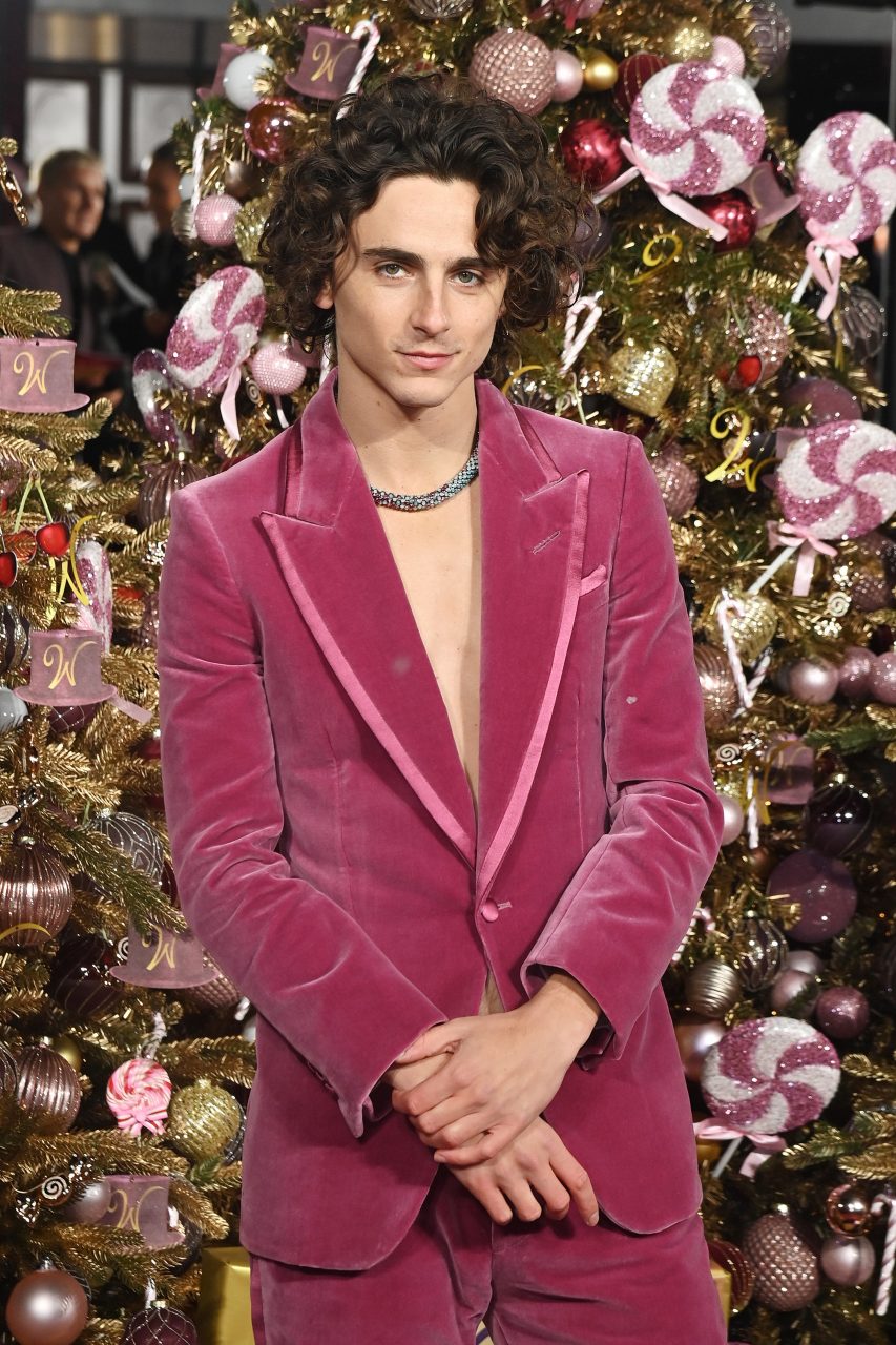 “It’s Insane, Right?” Timothée Worked With Cartier On His Custom Candy-Inspired Wonka Necklace