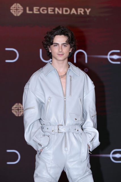 紅地毯上的小王子:Timothée Chalamet 的40個時裝時刻